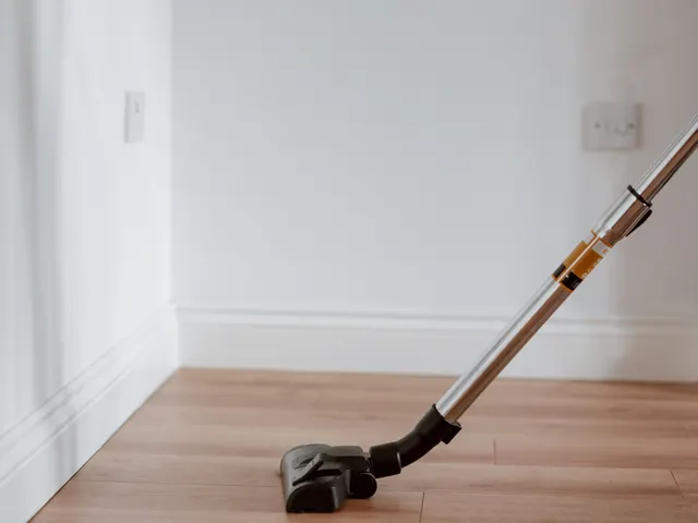 Vacuum cleaning along the baseboard of an empty, freshly vacated room